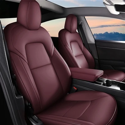 Gencin İlk Arabası Tesla Olabilir